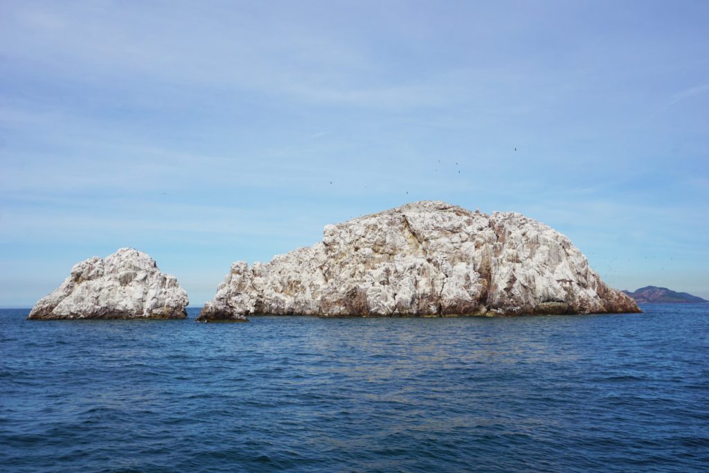 Best of Mazatlan Shore Excursion Review