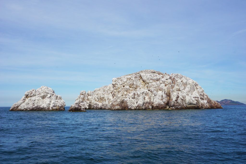 Best of Mazatlan Shore Excursion Review