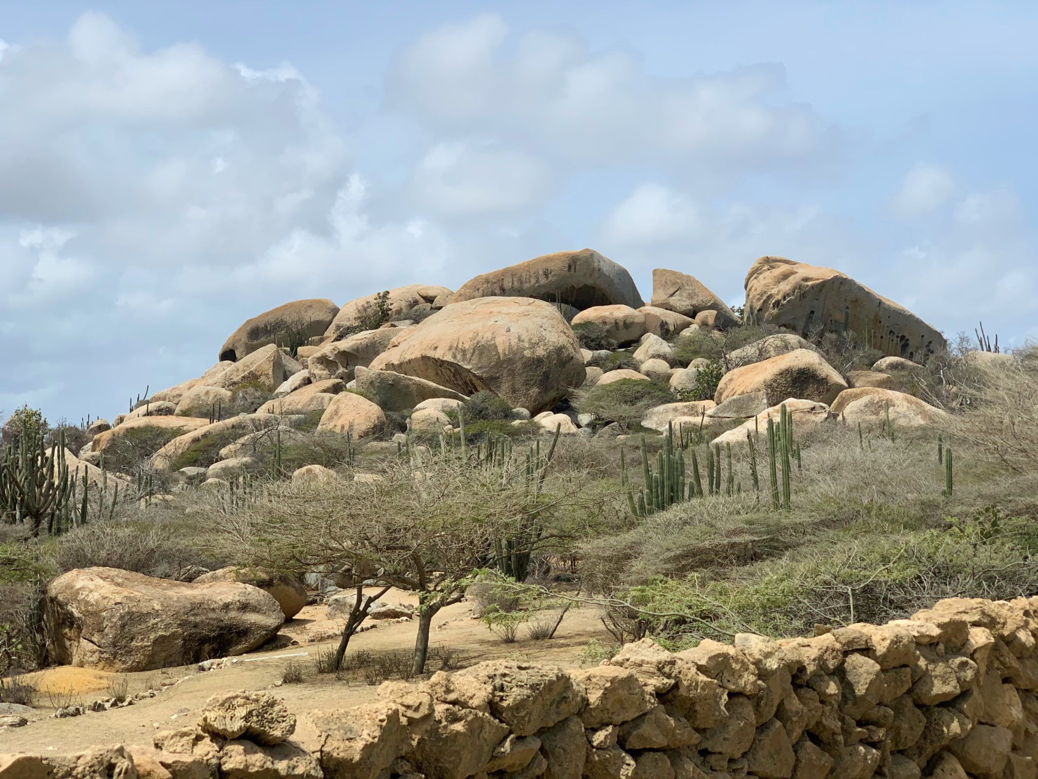 ABC Tours Aruba Island Ultimate Safari Review