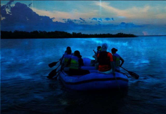 Top Things to Do in Port Canaveral