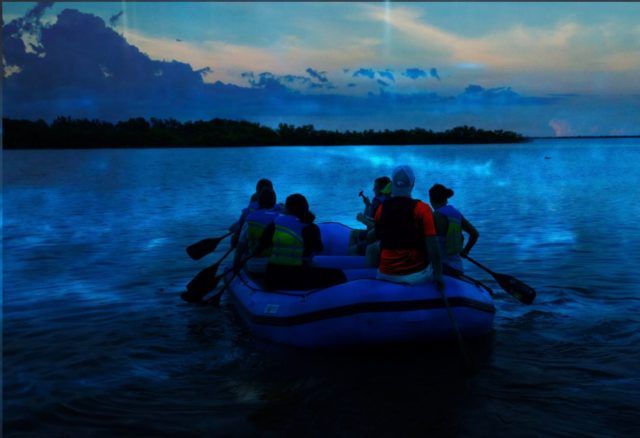 Top Things to Do in Port Canaveral