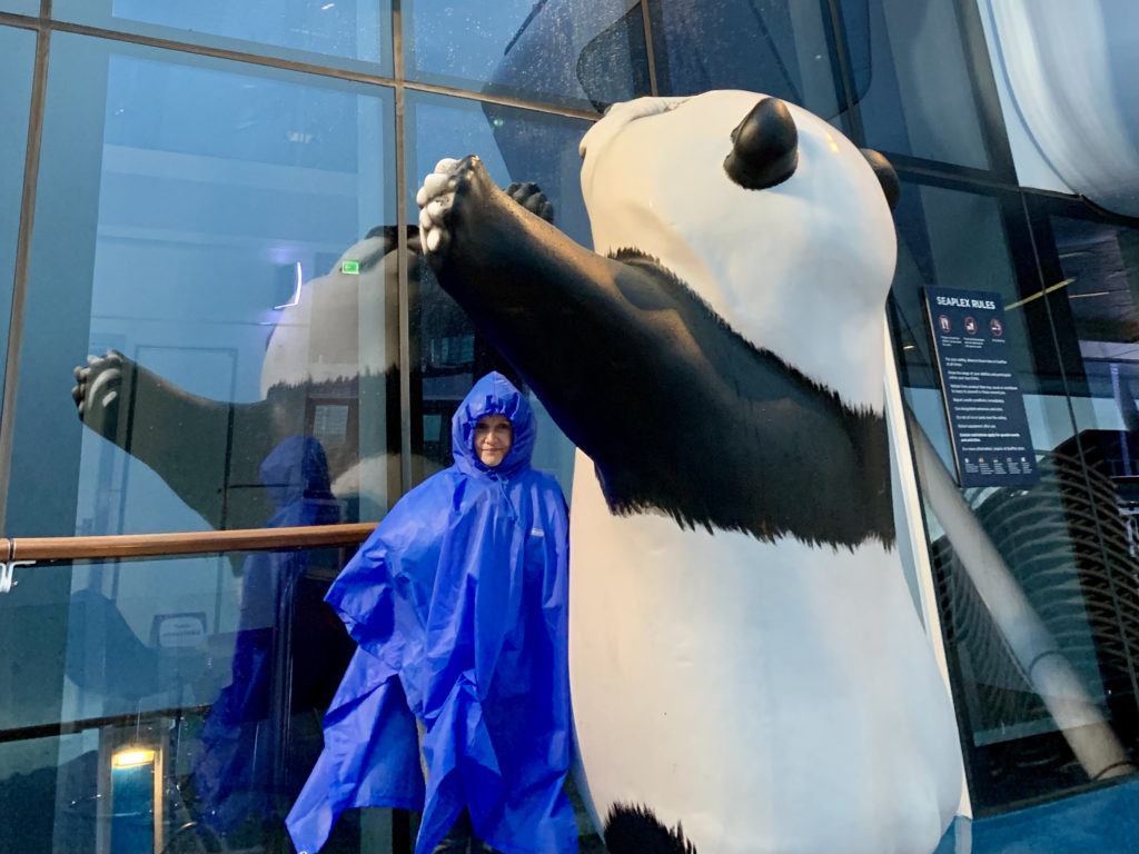 Ovation of the Seas Alaska Cruise Review