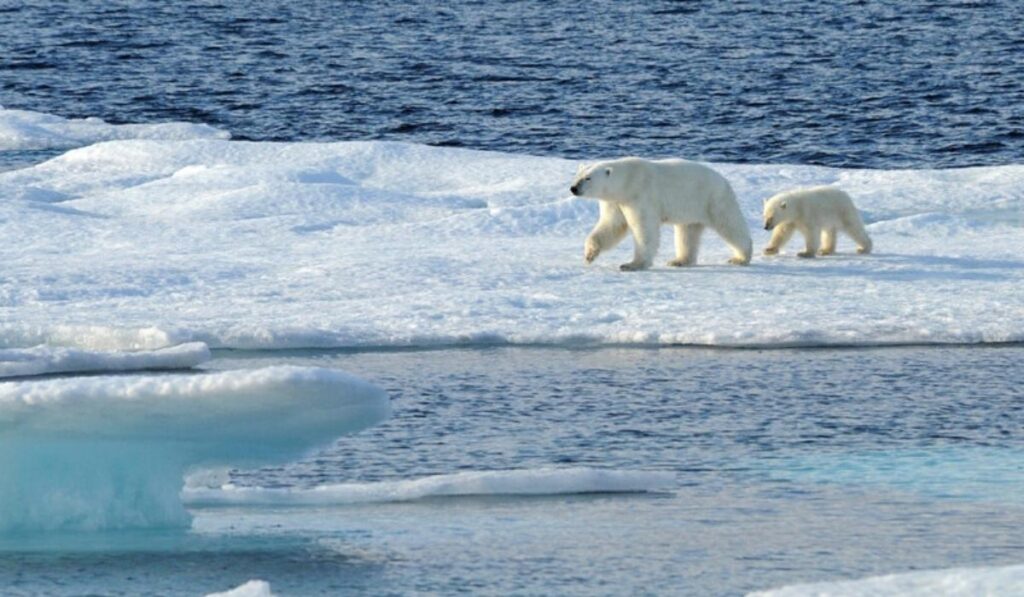 Adventures by Disney Announces Expedition Cruises to the Arctic
